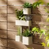 Umbra Cubiko Wall Planter