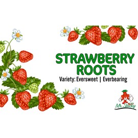 1305 Stacking Planter ( Terracotta)