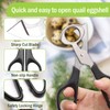 Adecco LLC Pigeon Quail Egg Cutter Scissors Stainless Steel Blades