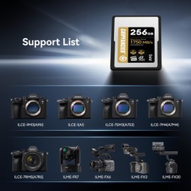 CHIPFANCIER 256GB CFexpress 4.0 Type A Card Up to 1750MB/s Read Speed & 1750MB/s Write Speed Type A Memory Card for RAW 4K/8K Video Recording Compatible with Sony Alpha Sony FX Cameras Dark Pink