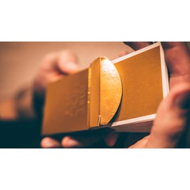 MJM Fort NOC (Gold) Playing Cards