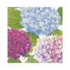 Caspari Hydrangea Garden Napkin Luncheon, Confezione da 20, Carta, Blu,