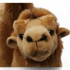 Carl Dick Camel, Bactrian Camel 26cm. Plush Toy, Soft Toy,