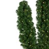 Northlight 6' Pre-Lit Artificial Pine Cactus Christmas Tree, Warm Clear