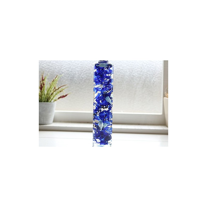 Hortus siccus Blue Colors Series 紫陽花 Daisy Mini Gypsophila Herbarium