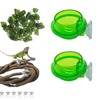 PINVNBY Reptile Suction Cup Feeder,Chameleon Feeding Food Bowl,Translucent Anti Escape