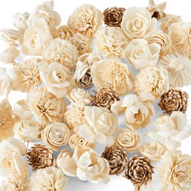 Oh You're Lovely 50 Variety Sola Wood Flowers Assortment