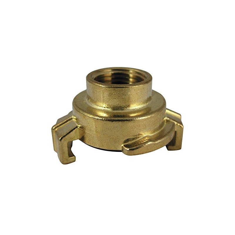 OASE 44479 Promax Quick Coupling Internal Thread 1 1/2 Inch,