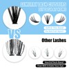 Lash Clusters D Curl 240 Pcs Individual Lashes 10D/20D/30D/40D Cluster
