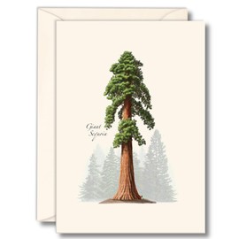 Earth Sky + Water - Giant Sequoia Notecard Set - 8 Blank Cards with Envelopes