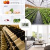 Digital Refrigerator Thermometer, Thermometer Refrigerator with LCD Display and Frost