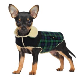 CITÉTOILE Warme Hundemantel Fleece, Wintermantel Winterjacken für Kleine/Große/Mittlere Hunde, Hundejacke Hundekleidung Hundepullover mit Geschirrloch, Chihuahua Mantel für Outdoor Indoor, XS