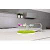 Boon B398 Sostén Tipo Flor para Chupones, azul