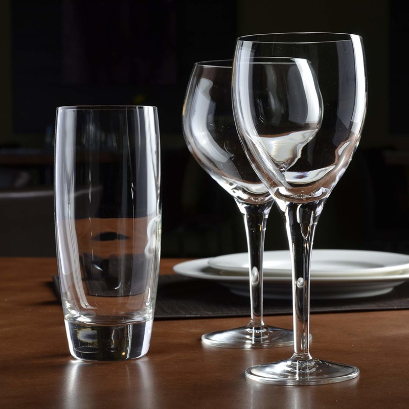 Luigi Bormioli Michelangelo Masterpiece 14.5 oz Beverage Glasses - Elegant,