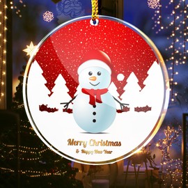 YummyCarrot Merry Christmas Decorative Hanging Ornaments with Gift Box, Hanging with My Christmas Tree 2024, Crystal Ornaments for Christmas Trees Winter New Year, Glass Home Decor Gifts