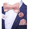 Dubulle Mens Self Tie Bow Ties and Lapel Pin Set