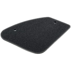 RMS Original Air Filter Box R100600370 for Original Filter Box Peu t Speedfight 1/2, Buxy, Elystar, Speedake, Zenith