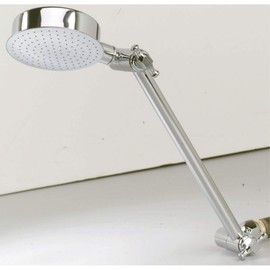 Whedon Showerhead Elephant, Hi-Lo Pan 10 " Chrome Plated, Solid Brass