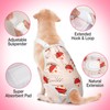 Jollywoods 3 Pack Washable Female Dog Diaper Onesie Sanitary Pantie