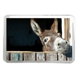 Cheeky Donkey Classic Fridge Magnet - Funny Horse Pony Animal 8260