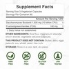 Saccharomyces Boulardii Probiotics + FOS Supplement, 10 Billion CFU, 240