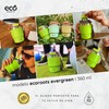 ECOROOTS Evergreen Thermobecher für unterwegs I 360 ml | Thermobecher