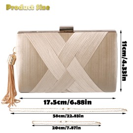 Amexo Women's Clutch Evening Bag, Elegant Chain Bag, Bridal Wedding Prom Going Out Party Handbag Small Shoulder Bag Tassel Purse for Bride, champagner