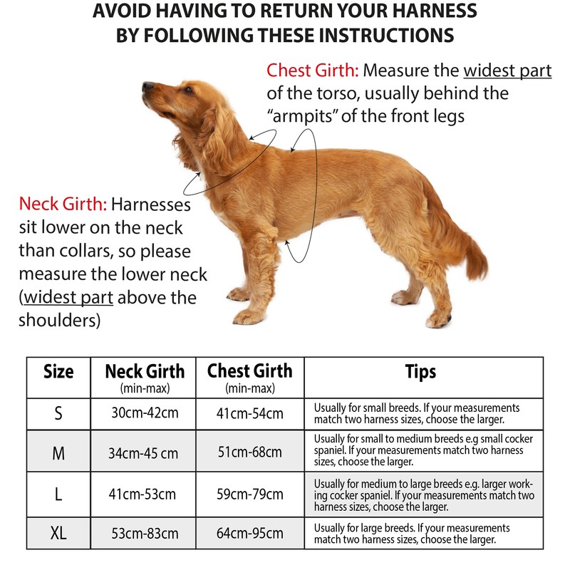 Elite Paws® UK: Premium Metal Buckle Dog Harness, Strong, Safe,