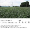 Gabai Farm, Made in Japan, Handmade Ginger Tea, 0.1 oz