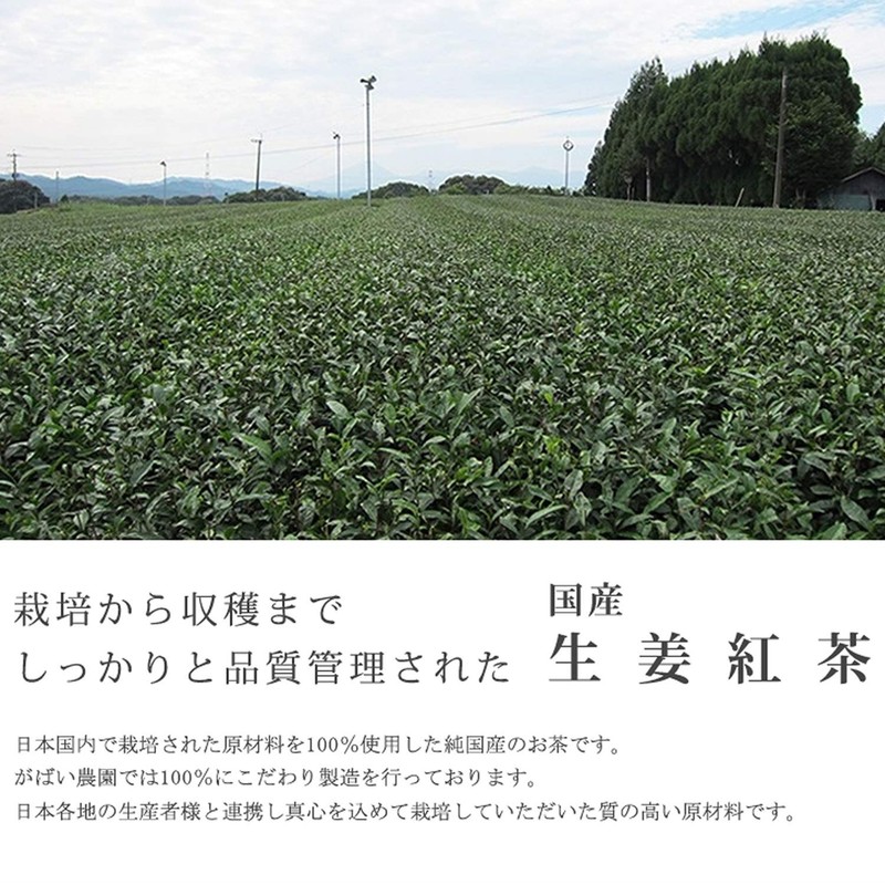 Gabai Farm, Made in Japan, Handmade Ginger Tea, 0.1 oz