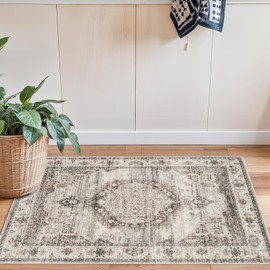 Washable 2x3 Entrance Area Rugs: Indoor Non-Slip Bathroom Mat Soft Stain Resistant Table Runners for Kitchen Laundry Dining Room Vintage Carpet for Entryway Foyer (Beige,2x3)