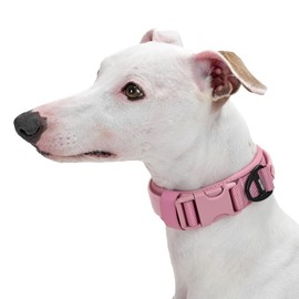 OneTigris Small Dog Collar with Handle, Soft and Adjustable Nylon Collar with Quick-Release Buckle, Lightweight No-Choke Design for Small Dogs(Pink, XS)