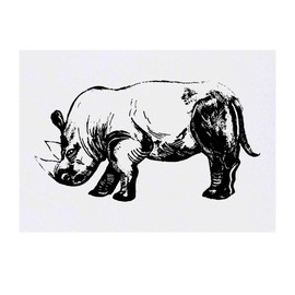 Azeeda 'Skizziertes Nashorn' Temporäres Tattoo - Hautfreundlicher & Ungiftiger Abziehbild · Wasserfest (TO00024520)