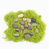 20 LBS Natural River Rocks - 1/2-1 inch Pebbles, Screened