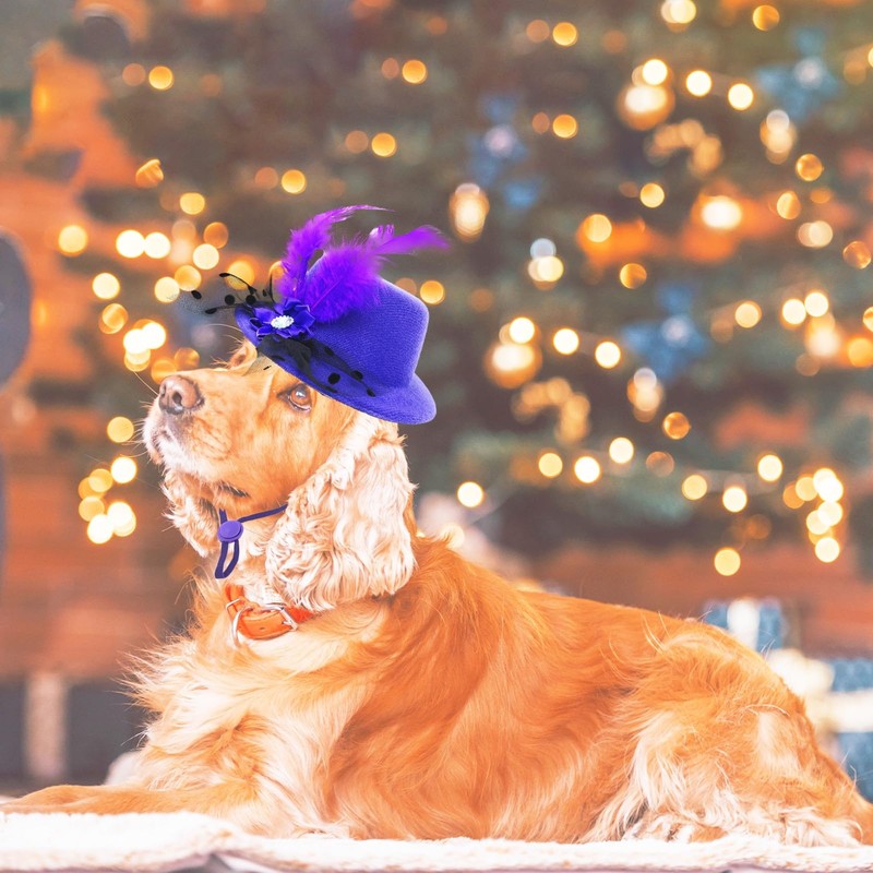 ComiMag Dog Hat Cat Hat Rabbit Hat Fascinator Hat Tea