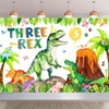 Three Rex Birthday Party Decorations Boy Dinosaur 3rd Birthday Party
