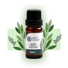 MCT natural I Sage Oil 10 ml I Essential Oil