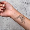4 x 'Hairy Tarantula' Temporary Tattoos - Water Resistant, Skin-Safe,