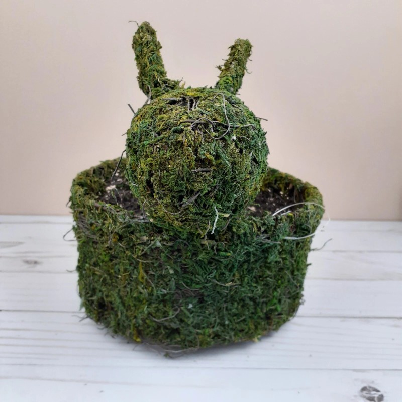 Ashland Moss Bunny Basket Easter 6.5 inch Round Green