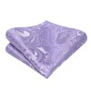 Hi-Tie Men's Bow Tie Self Tie Bow Ties Lavender Silk