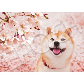 Epoch Company 108 Piece Jigsaw Puzzle, Spring Ranwan! 7.2 x 10.1 inches (18.2 x 25.7 cm)