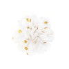 PLH Medium Gold Dot Puff Hair Clip