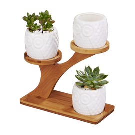 FLOWERPLUS Planter Pots Indoor, 3 Pack 3 Inch White Ceramic Decorative Small Owl Succulent Cactus Flower Plant Pot with Tree Tier Bamboo Stand for Garden Kitchen Home Office Desk Decorations