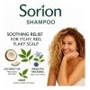 Sorion Champú Con Aceite De Coco, Neem, Cúrcuma Y Aceites