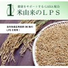 LPS 粒 （リポポリサッカライド） 90粒入り LPS COREBI コレビ