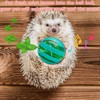 Toys for Hedgehogs Small Animal Accessories, Cute Hedgehog Toys, Ball