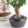 YISZM Natural River Rocks, Small Rocks for Plants Decorative Polished