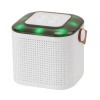 zoo3026 Portable Bluetooth Karaoke Machine fit for Kids Speaker w/