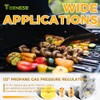 TEENGSE 1/2" Natural Gas and Liquefied Interchange Pressure Regulator, Natural