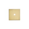 Khtumeware 10-Pack 1-1/2 Inch Square Backplate for Knobs in Champagne